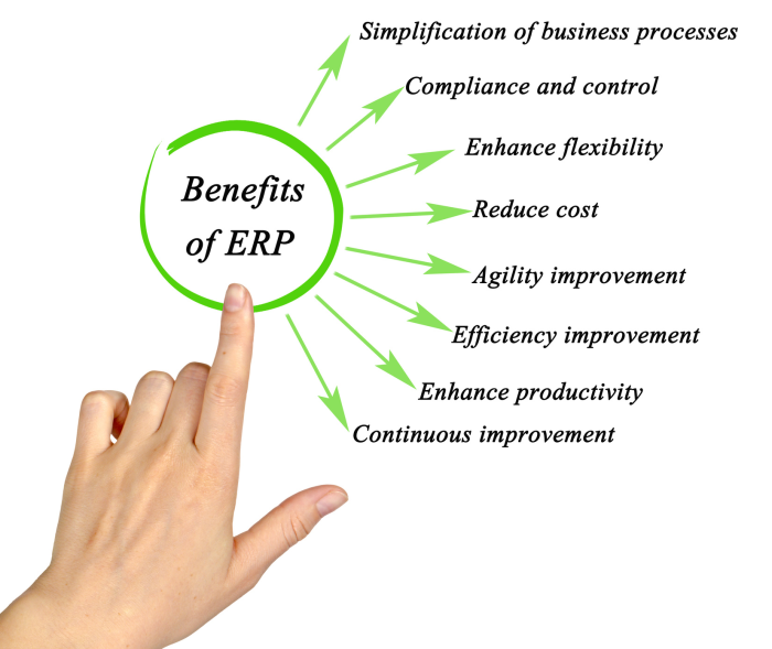 Ibis Business Intelligence Solutions Benefits of ERP